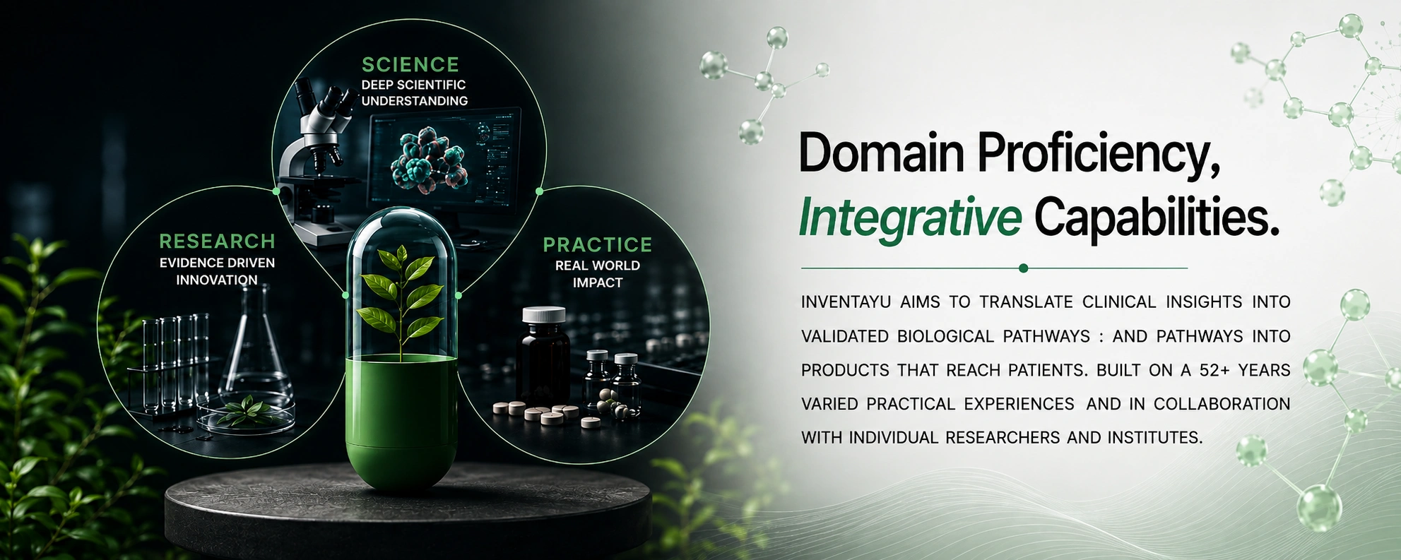 Domain Proficiency, Integrative Capabilities