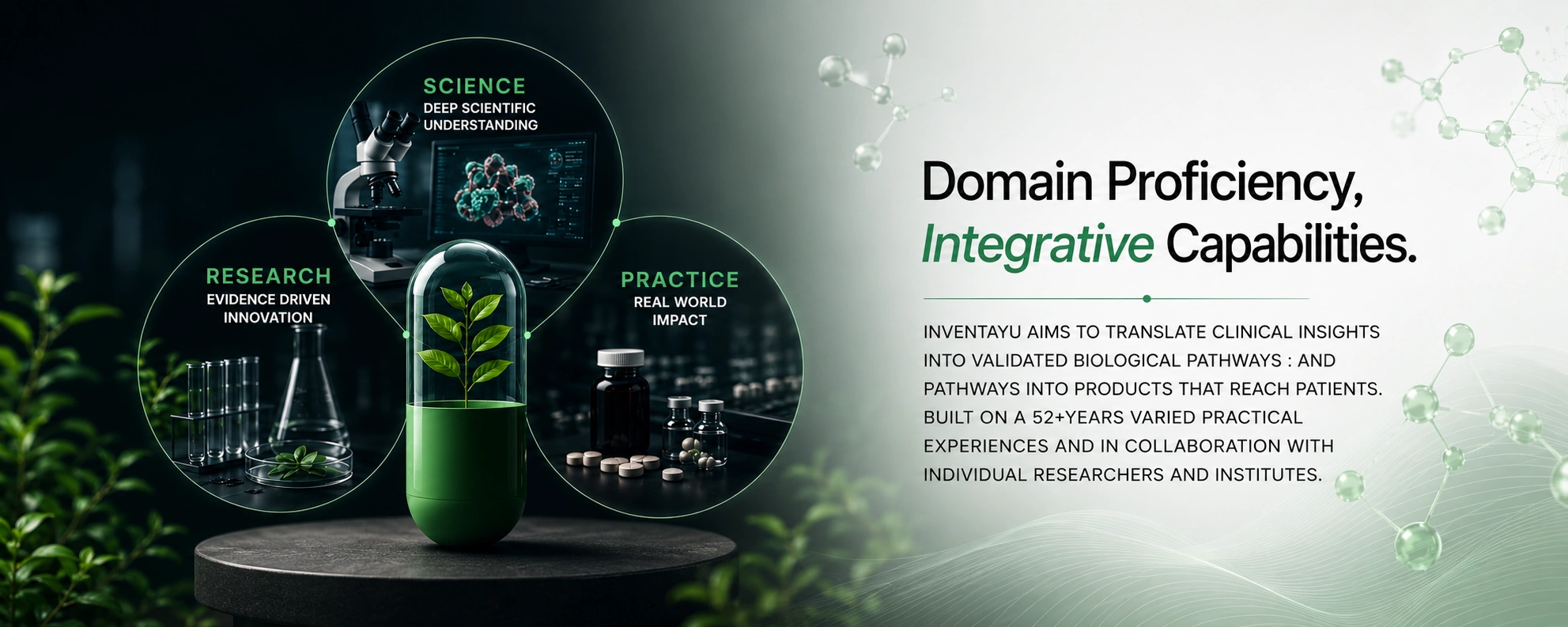Domain Proficiency, Integrative Capabilities
